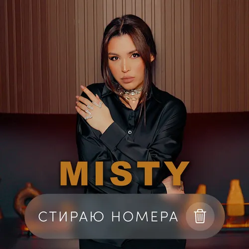 Обложка к песне Стираю Номера от Misty