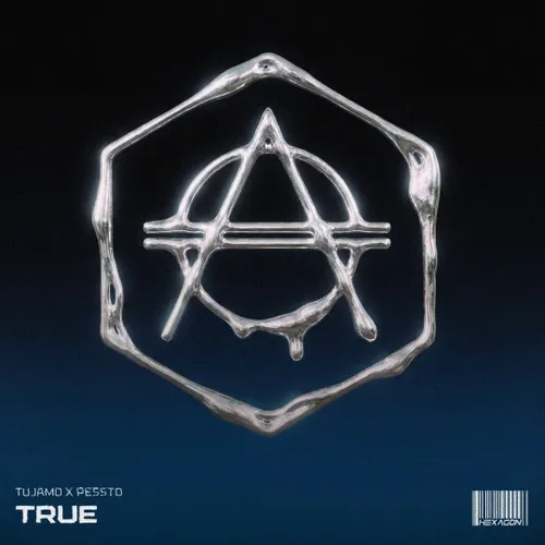 Обложка к песне True (Extended Mix) от Tujamo & Pessto