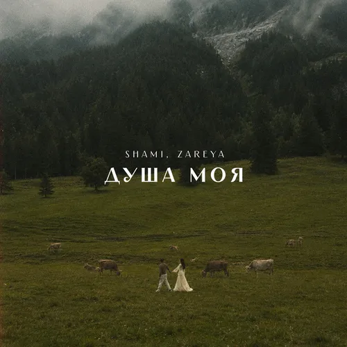 Обложка к песне Душа Моя (feat. Zareya) от Shami