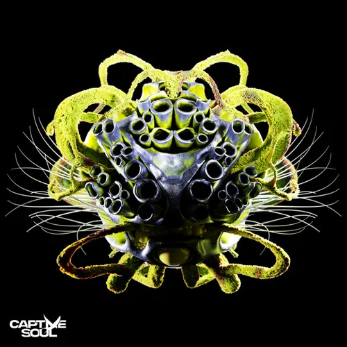 Обложка к песне Dance In The Pain (Extended Mix) от Carl Bee