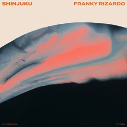 Обложка к песне Shinjuku (DJ Kuba & Neitan Remix) от Franky Rizardo
