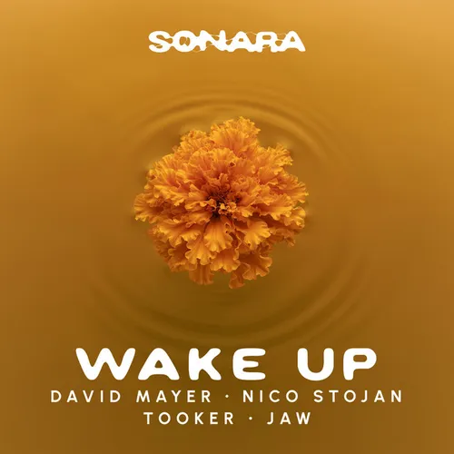 Обложка к песне Wake Up (feat. Nico Stojan & Tooker & Jaw) от David Mayer