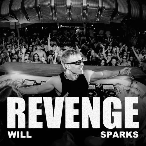 Обложка к песне Revenge (Original Mix) от Will Sparks