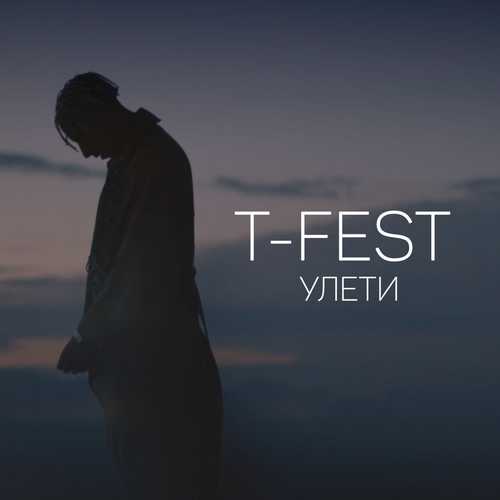 Обложка к песне Улети от T-Fest