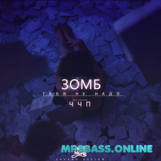 Обложка к песне Тебя Не Надо (feat. ЧЧП) от Зомб