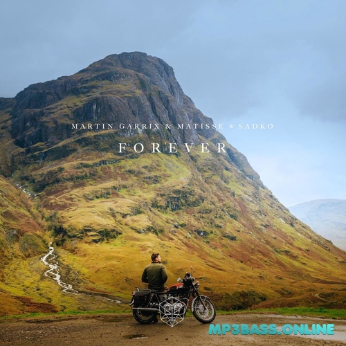 Обложка к песне Forever (feat. Matisse & Sadko) от Martin Garrix