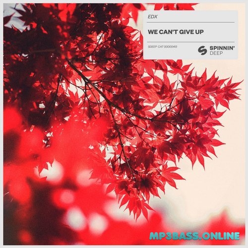 Обложка к песне We Can't Give Up (Extended Mix) от EDX