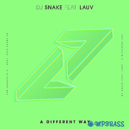 Обложка к песне A Different Way (feat. Lauv) от DJ Snake