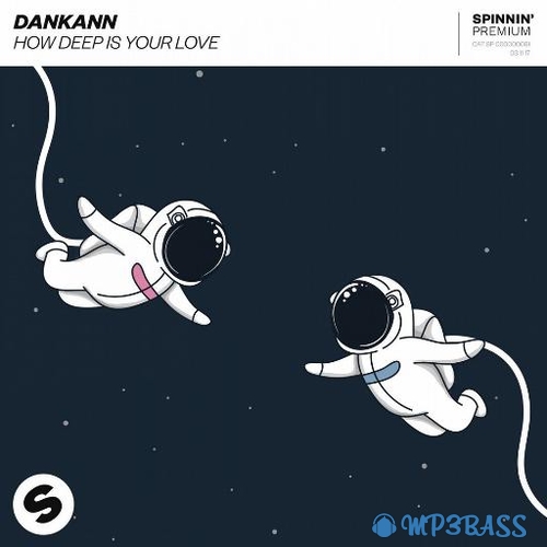 Обложка к песне How Deep Is Your Love (Extended Mix) от Dankann