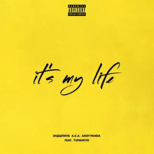 Обложка к песне It’s My Life (feat. TumaniYO) от Эндшпиль