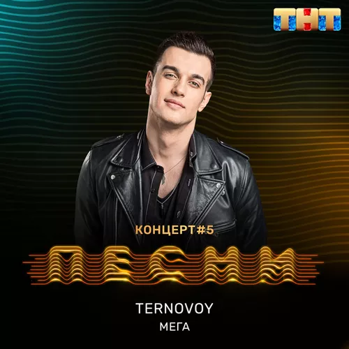 Обложка к песне Мега (Мегаполис) от Terry