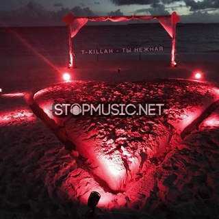 Обложка к песне Ты Нежная от T-killah