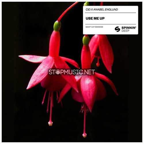 Обложка к песне Use Me Up (Extended Mix) от CID feat. Anabel Englund