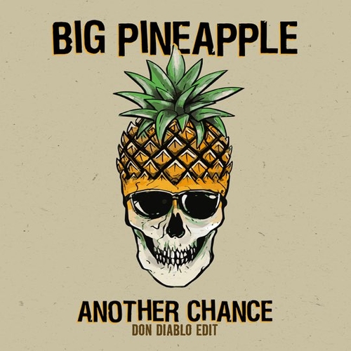 Обложка к песне Another Chance (Don Diablo Extended Edit) от Big Pineapple