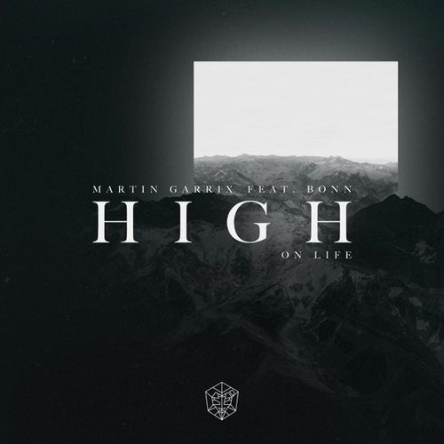 Обложка к песне High On Life (feat. Bonn) от Martin Garrix