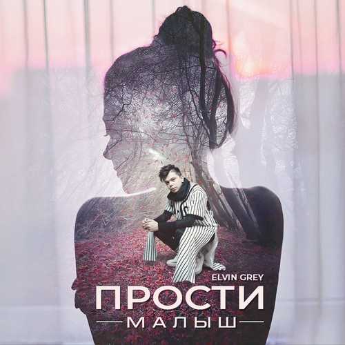 Обложка к песне Прости Малыш от Elvin Grey