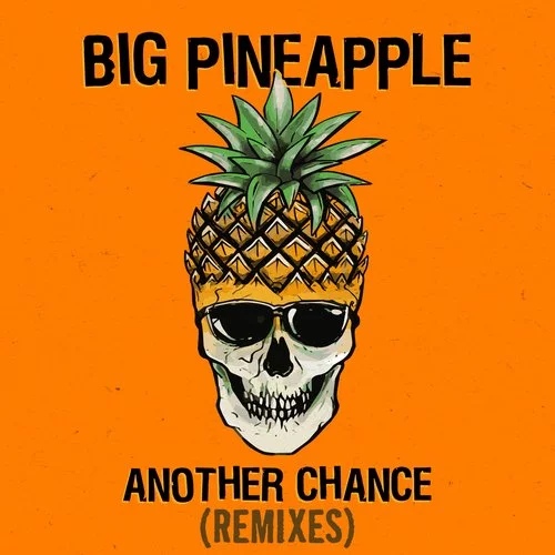 Обложка к песне Another Chance (Keanu Silva Extended Remix) от Big Pineapple