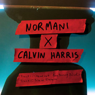Обложка к песне Slow Down (feat. Calvin Harris) от Normani