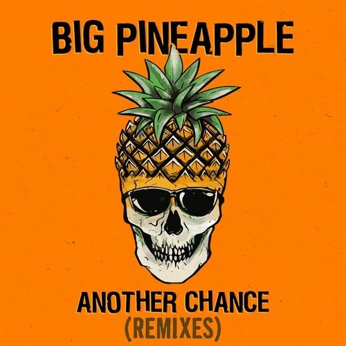 Обложка к песне Another Chance (Don Diablo Chill Mix) от Big Pineapple