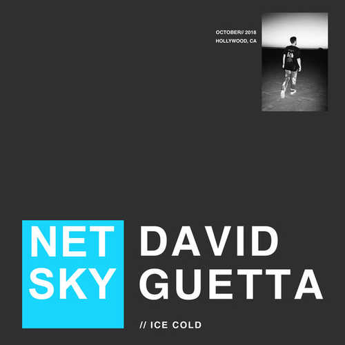 Обложка к песне Ice Cold (feat. David Guetta) от Netsky