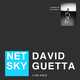 Обложка к песне Ice Cold (feat. David Guetta) от Netsky