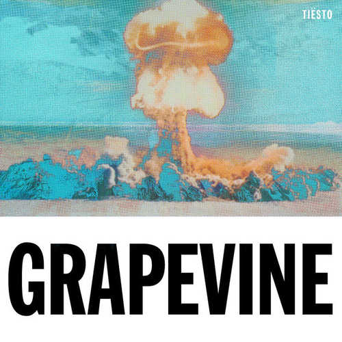 Обложка к песне Grapevine (Tujamo Remix) от Tiësto