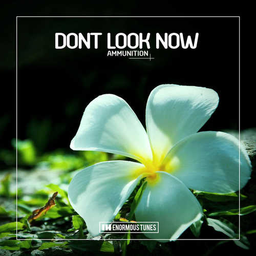 Обложка к песне Ammunition (Fort Arkansas Remix) от Dont Look Now