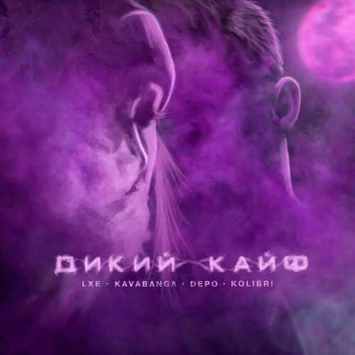 Обложка к песне Дикий Кайф (feat. Kavabanga Depo Kolibri) от LXE