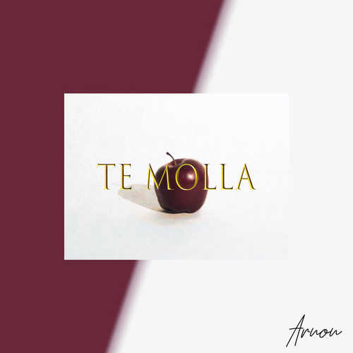 Обложка к песне Te Molla (feat. Killua) от Arnon
