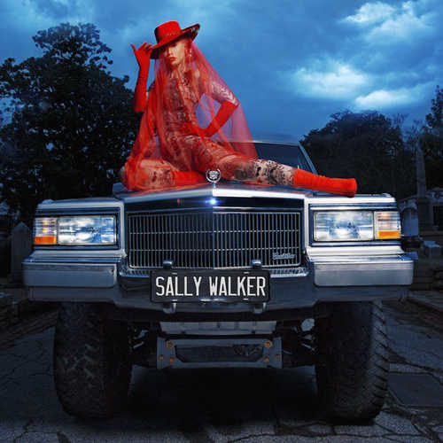 Обложка к песне Sally Walker от Iggy Azalea
