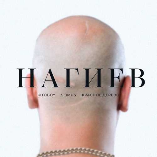 Обложка к песне Нагиев (feat. SLIMUS & Красное Дерево) от Kitoboy