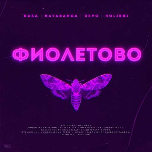 Обложка к песне Фиолетово (feat. Kavabanga Depo Kolibri) от RASA
