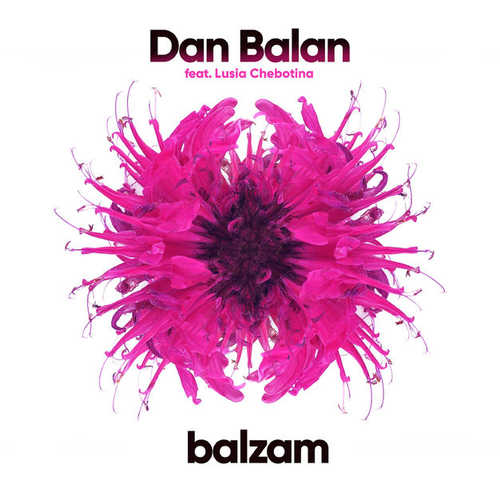 Обложка к песне Balzam (feat. Lusia Chebotina) от Dan Balan
