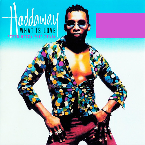 Обложка к песне What Is Love (Sterbinszky 2k19 Remix) от Haddaway