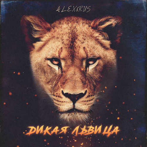 Обложка к песне Дикая Львица от Alex&Rus