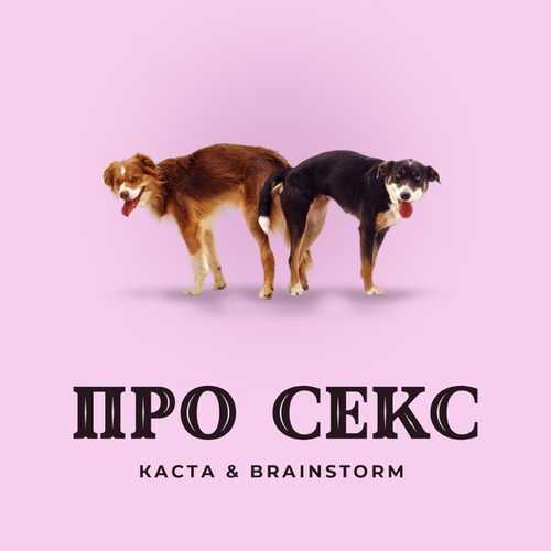 Обложка к песне Про Секс (feat. BrainStorm) от Каста