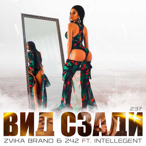 Обложка к песне Вид Сзади (feat. 242 & Intellegent) от Zvika Brand