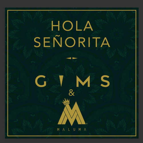 Обложка к песне Hola Senorita (feat. Maluma) от Maitre Gims