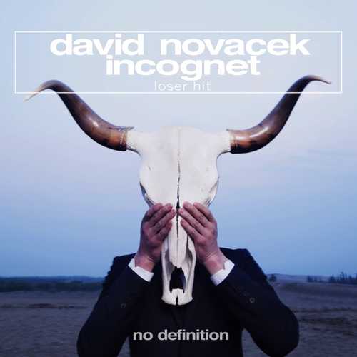 Обложка к песне Loser Hit (Original Club Mix) от Incognet & David Novacek