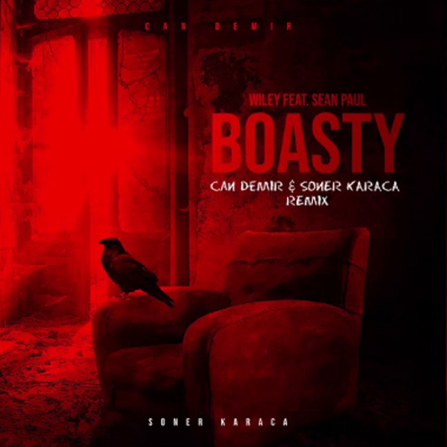 Обложка к песне Boasty (Soner Karaca & Can Demir Remix) от Wiley & Sean Paul