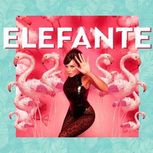 Обложка к песне Elefante от NK (Настя Каменских)