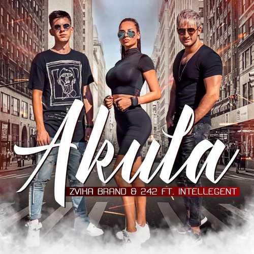 Обложка к песне Akula (feat. 242 & Intellegent) от Zvika Brand