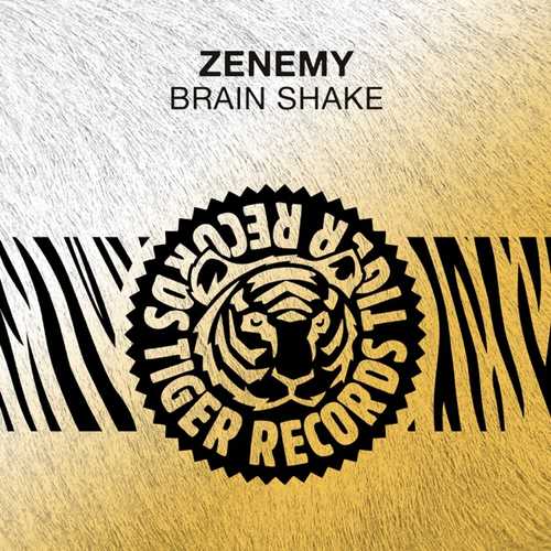 Обложка к песне Brain Shake (Original Mix) от Zenemy