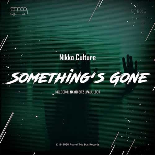 Обложка к песне Something's Gone (Original Mix) от Nikko Culture