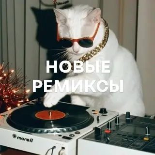 Новые ремиксы - слушать и скачать в mp3